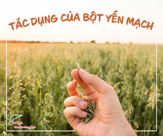 Tác dụng của bột yến mạch